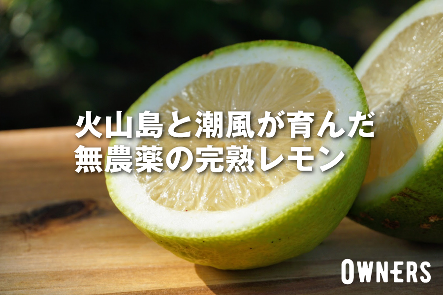 火山島と潮風が育んだ無農薬の完熟レモンをお届けします！（OWNERS）